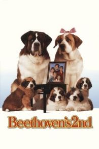 VER Beethoven 2: la familia crece (1993) Online Gratis HD