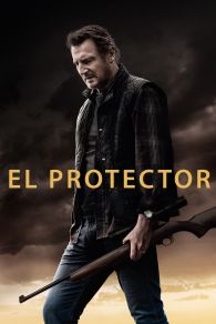 VER El Protector Online Gratis HD