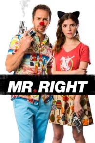 VER Mr. Right (2015) Online Gratis HD