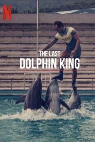 VER ¿Qué le pasó al rey de los delfines? Online Gratis HD
