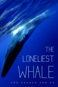 VER The Loneliest Whale: The Search for 52 Online Gratis HD